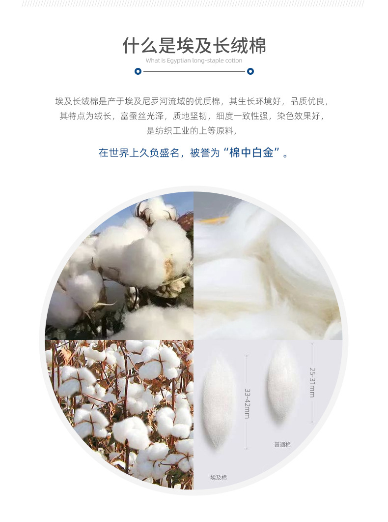 5埃及长绒棉