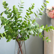 �S��3������ȼ����~ ����Gֲ�廨�쾰�ֹ�������c���ϼٻ��b�