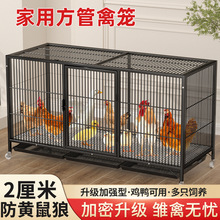 鸡笼子家用养鸡笼加密雏鸡笼防黄鼠狼养殖笼鸡舍铁丝网方管笼宠物