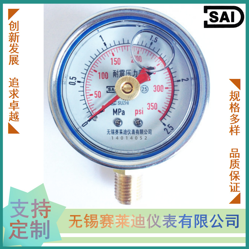 无锡赛莱迪 耐震记忆压力表 留针表YN-60-J