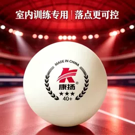 乒乓球;乒乓球台