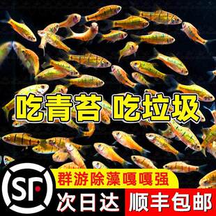 С����ˮ������~���坍����̦���坍�~�ͺ���ˮ�~ԭ���~�������~