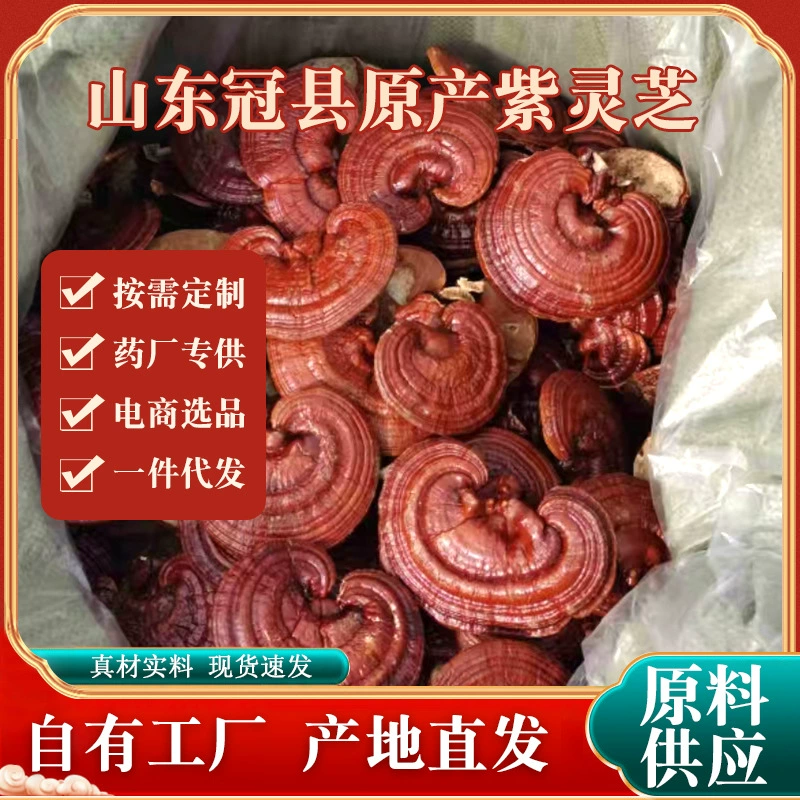 Ultra-fine purple Ganoderma lucidum whole bitter red Ganoderma lucidum extremely fine powder red Ganoderma lucidum diced Ganoderma lucidum slices gift box boiled in water and soup natural