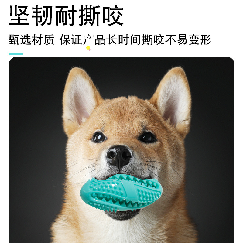 宠物狗咬玩具 (5).jpg