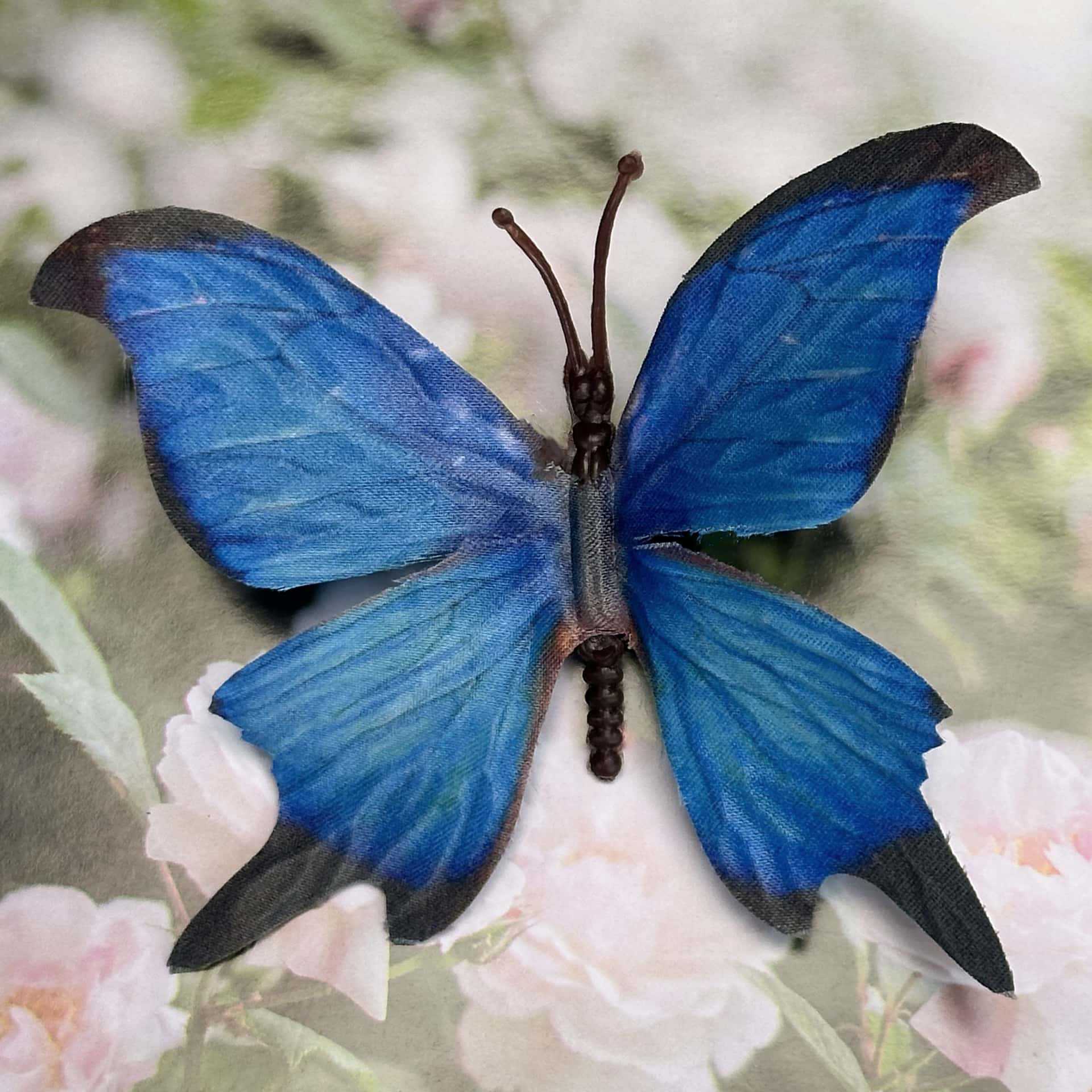 Seda 11CM color mariposa talla grande 29