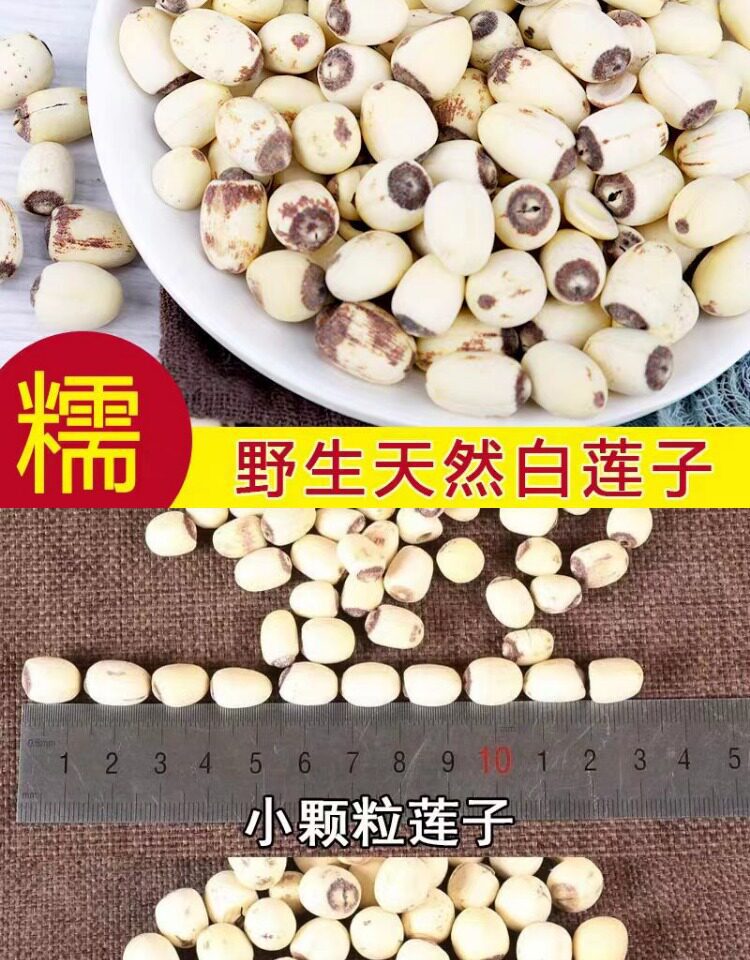 Premium White Lotus Seeds with Core Bai Lian Zi 500g Dried Xiangtan Lotus Seed Kernels for Soup and Tea specifications
