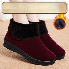 ϱЬŮﶬӽqӺů˷Ь2025¿Ь