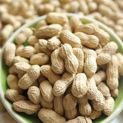 季節の新商品は殻付きの生落花生の乾燥落花生の大粒農家が自分で生産して大量の現物を干します。