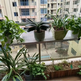 烧烤炉;其他铸造设备;晾晒篮/绳