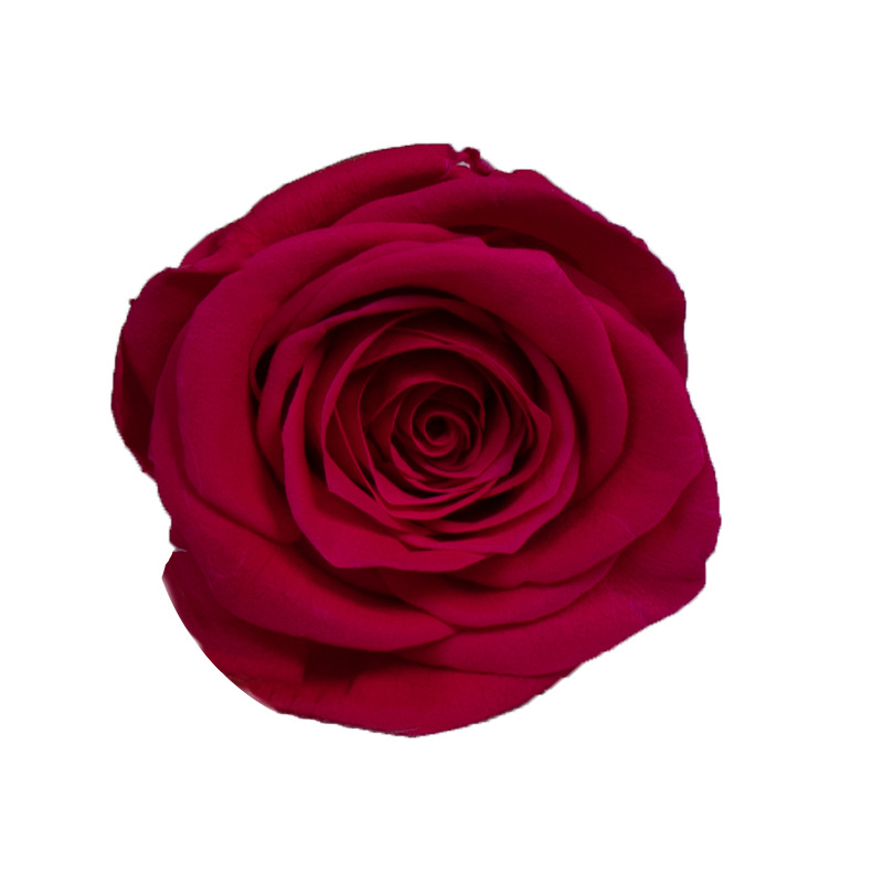 4-5cm 8 Flores, grado B DIY flores eternas, rosas eternas, Yunnan Kunming al por mayor, flores preservadas