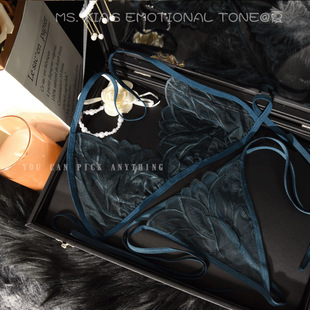 European and American Cross-Border Best-Selling Sexy French Three-Point Mesh Embroider Cut Out Lace Sexy Intimates 14153