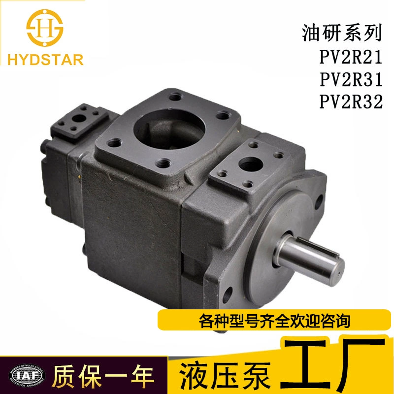 PV2R12 PV2R13 PV2R23 маслошлифовальный лезвие насоса двойной насос машина для литья под давлением обувная машина и другие промышленные машины