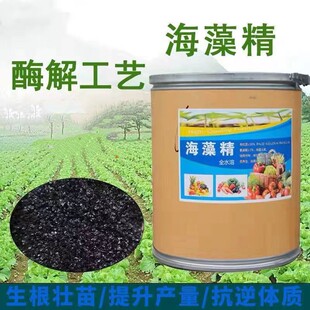 ���徫 �ЙCˮ�ܷʺ����� �������������a������������ø�� ����