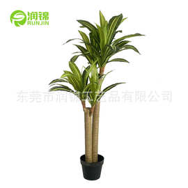 仿真金边巴西铁盆栽香龙血树室内大型盆栽四季常青大叶植物巴西木