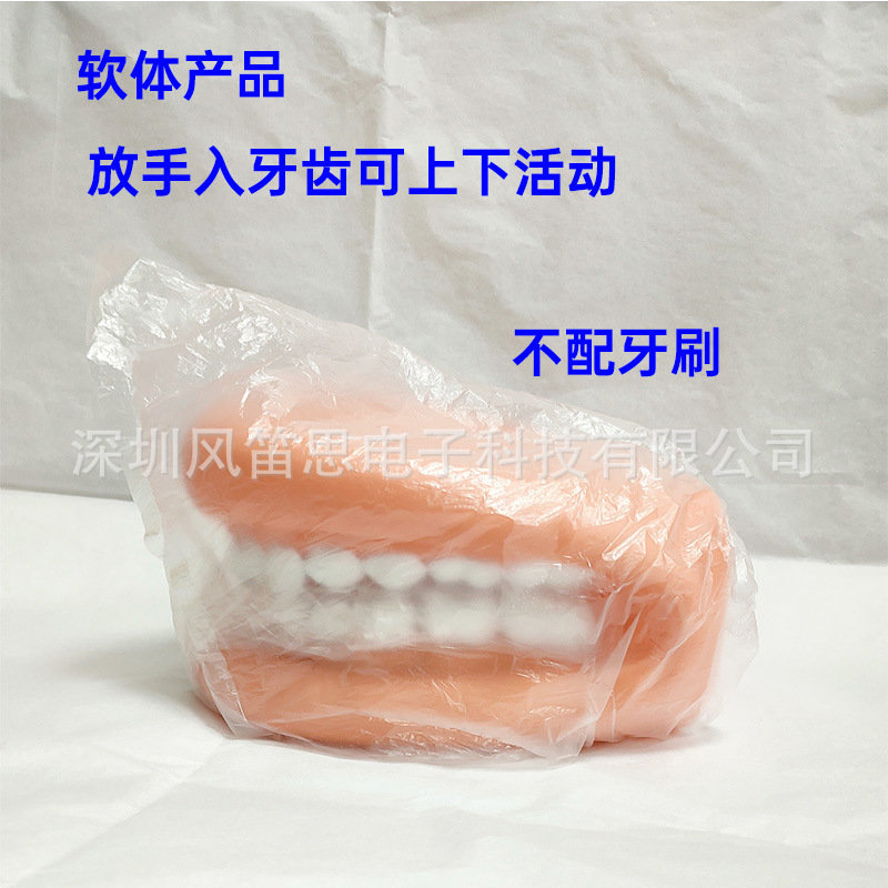 深センメーカー定歯模型口腔歯科看護シミュレーション医療教育用品環境保護ゴムプラスチック|undefined