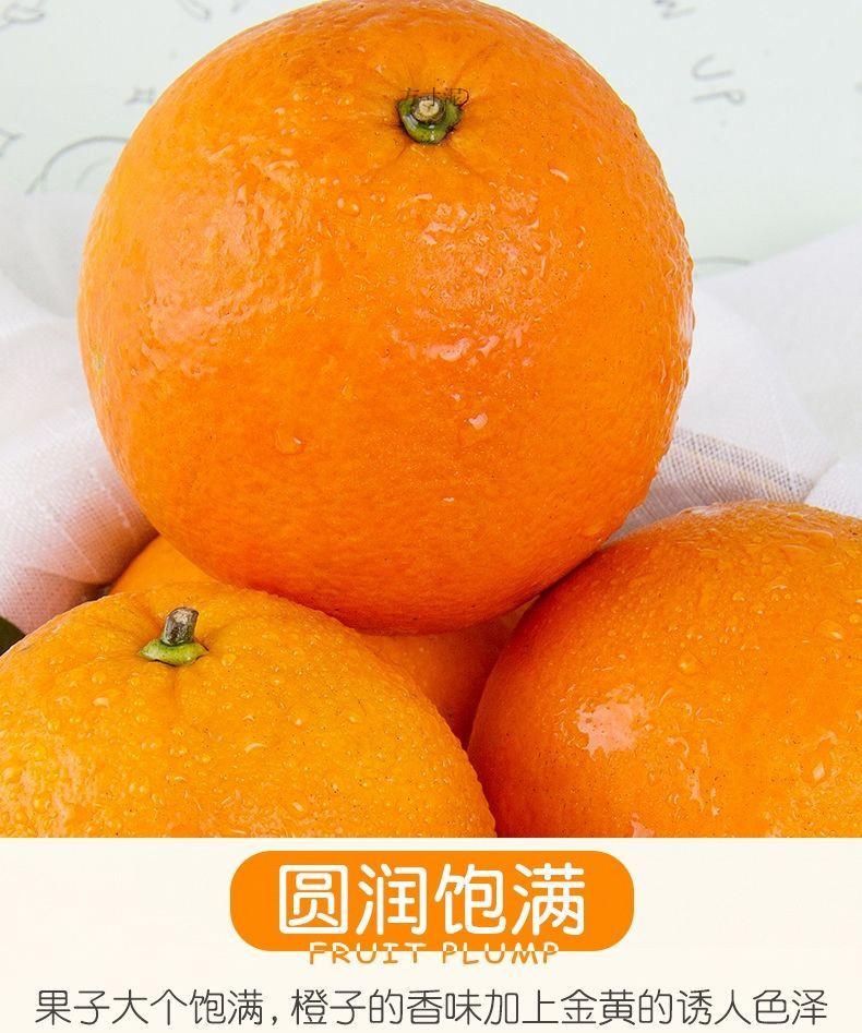 47ebdd6b-95e4-45c1-b954-249fc06268c6.jpe