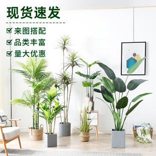 ͱWֲ͏dپGֲ˽쾰bGֲ