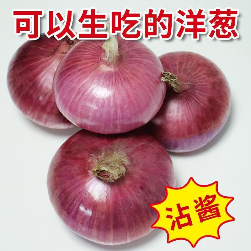 Onion Purple Red Skin 10 Fresh 5 Onion wholesale Farm Vegetables 3 Independent Manufactor