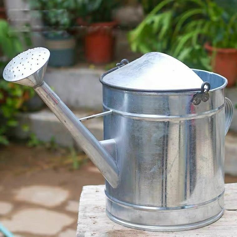 5621608a-061b-4b26-8e6d-64fc361e9f8c.jpe