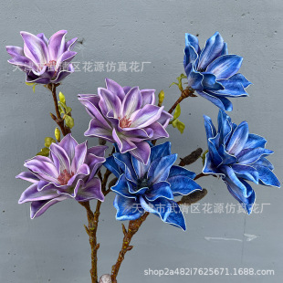 �¿�3D�ָз������m�� 3�^�ָ��������m �����L��Yܛ�b�ٻ����l