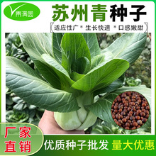 ���l�ڴ��^�K����ڴ��^������˷N�Ӵ��~���~�������_�Ϻ������