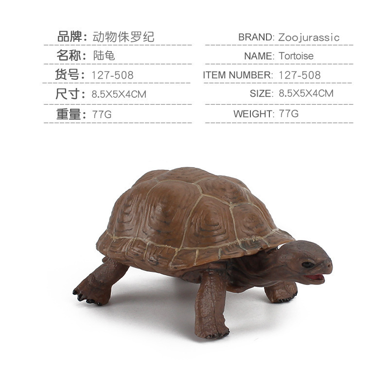 Simulación tortuga sólida Galápagos elefante tortuga juguetes marino mundo tortuga modelo de animal amazona