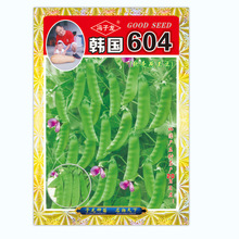 ܛ�v���m���N�Ӯ���ܛ�A�˶��㶹�n��604ܛ�����m���߲˷N�Ӵ�ȫ