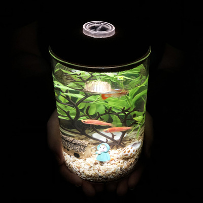 带七彩灯夜光透明玻璃瓶家居摆件 海底微景观DIY创意瓶套装小鱼缸|ms