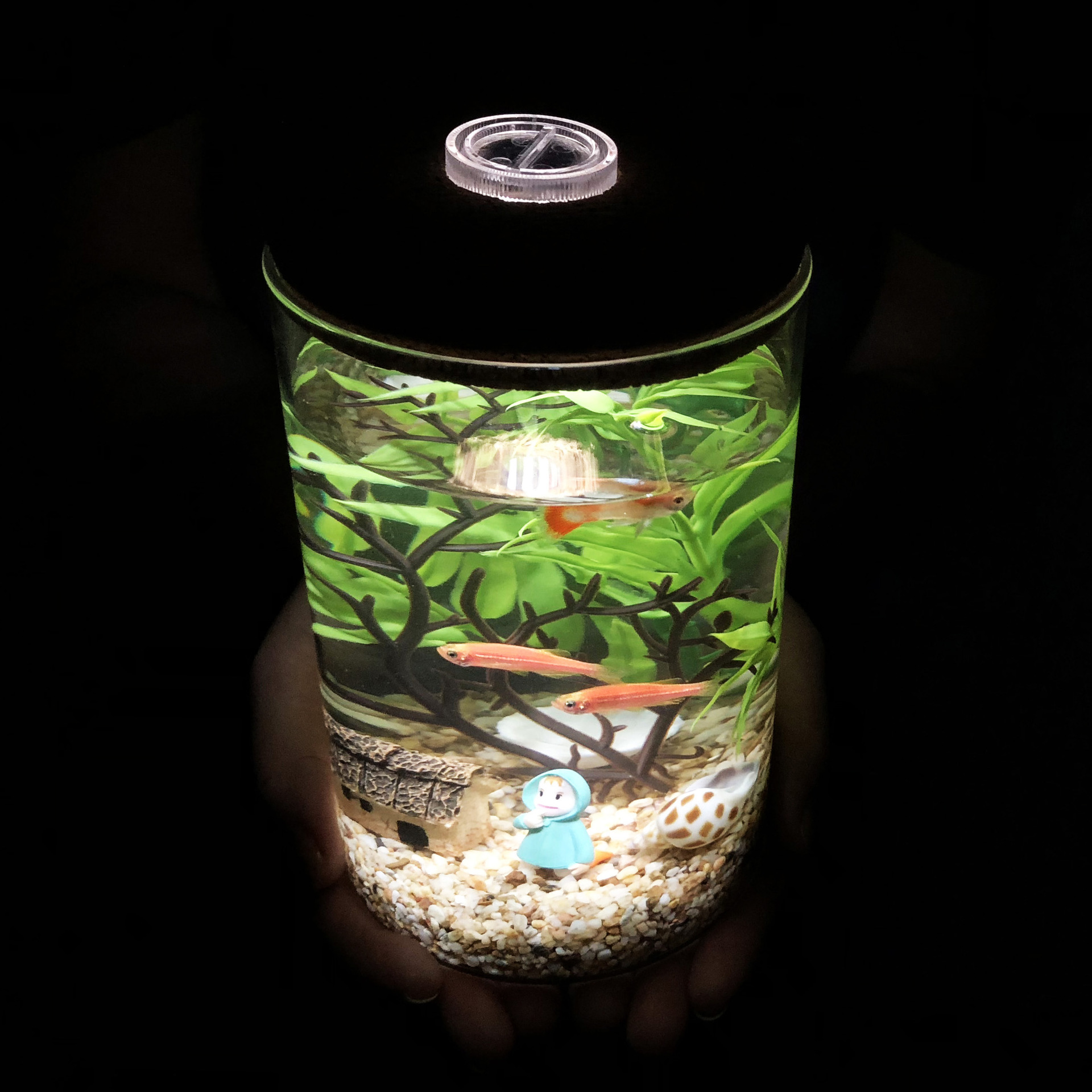 带七彩灯夜光透明玻璃瓶家居摆件 海底微景观DIY创意瓶套装小鱼缸|ms