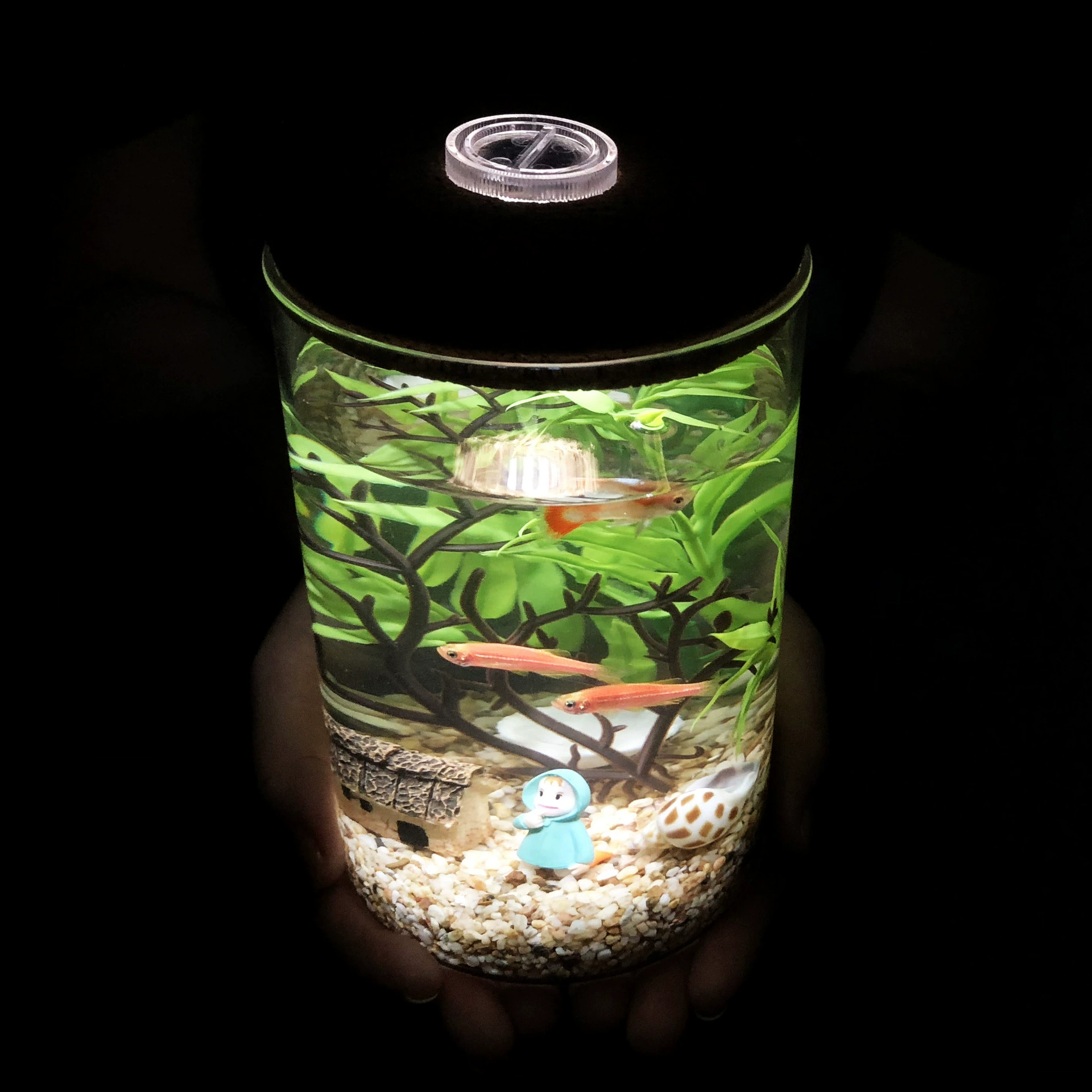 Светящаяся прозрачная стеклянная бутылка с красочными огнями Украшение дома Подводная лодка Микро-пейзаж DIY Креативный костюм для бутылок Маленький аквариум