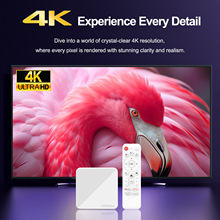 Դ�S���ƿ羳؛ԴH96Max H313�C픺� 4K�{���Z����׿14.0 �ҕ��