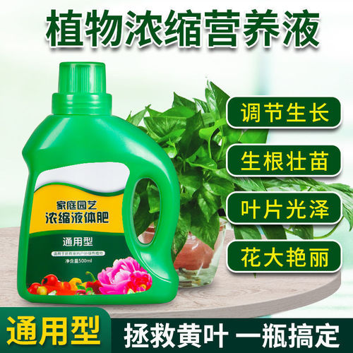 Nutrient solution plant universal flower foliage fertilizer green plant fertilizer green dill rich bamboo fortune flower fertilizer