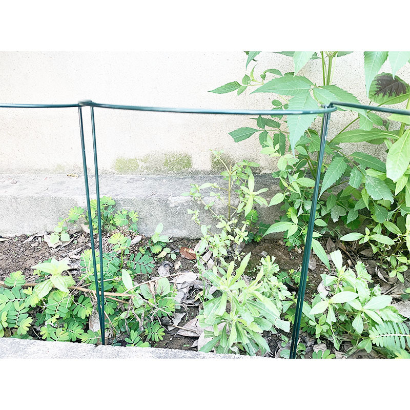 17021419255_223168717