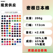 TR汗布日本棉单面汗布TR拉架面料人棉混纺针织面料平纹布T恤汗布