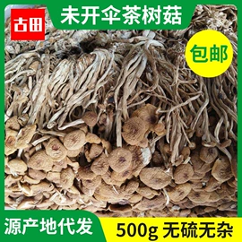 香菇;银耳;其他干货