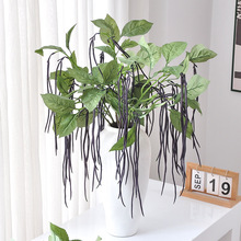 ���������b����L��ܛ�zֲ��ɭϵ�쾰��픲��à����b�ֲ��