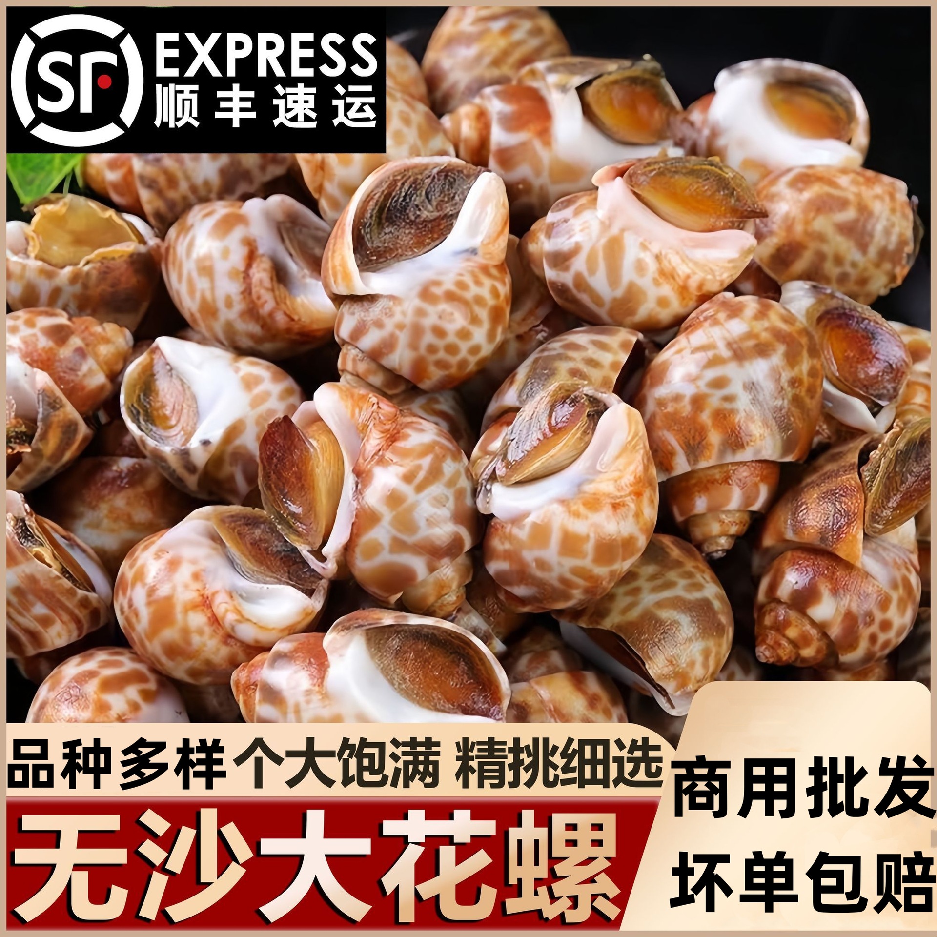 大号花螺商用冷冻海螺冷冻水产短尾花螺捞汁小香螺海鲜顺丰包邮