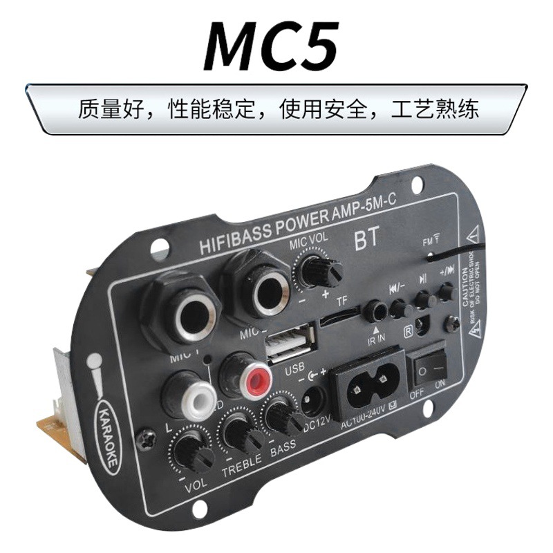 Fábrica transfronteriza dedicada de 5 pulgadas 12V220V doble propósito dual MIC con BT coche amplificador digital tablero amplificador Accesorios
