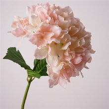 �¿��ָб�����ؐؐ������滨�Ҿ��b廨�zӰ�������l�ٻ�