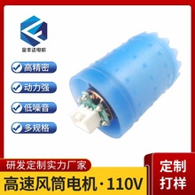 LͲ늙C110V10fDٱLR_u݆LͲoˢ늙CR_