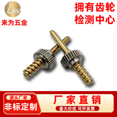 [非标定制 蜗轮蜗杆机械传动核心部件静音耐磨 蜗杆定制工厂直销]