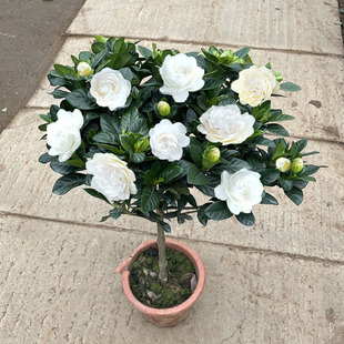 �ļ����Դ�ĵ���d�ӻ����U���~�d�ӻ��ذ����������̨�͏d