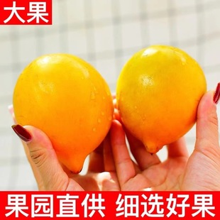 ���r�u����������S���S�����ЋDˮ�������oʳ���lһ������]���l