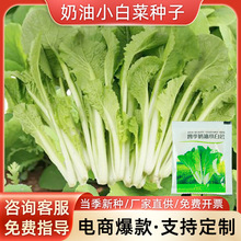 ����С�ײ˷N���ļ�����С����߲˷N���̨�����͟��˷N���ļ�