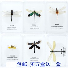 �ֹ��Y����̌W��ɫ��˱���ͯչ����b�������������x