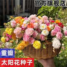 �ذ�̫ꖻ��N���׻�����ͥԺ���@�W�t�����������ļ��_���׻�