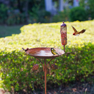 ���R�d��������Bԡ��ι�B�����@ͥԺ��ƺ�ز�ʽͶʳ���Fˇι�B��