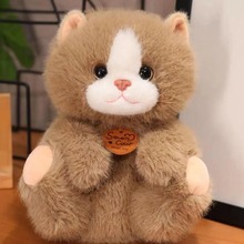 �羳�¿Ʒɭ�ք���8�����ޙC؈��ץ�C��ż���ޔ[��ë�q���