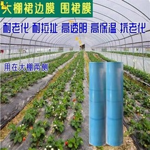 大棚裙边膜围裙膜塑料大棚边膜大棚围边膜群膜风口膜挡风放防加厚