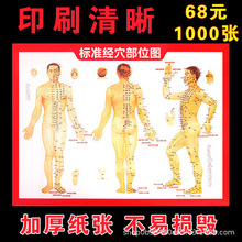 穴位图人体艾灸经络图高清全身艾灸刮痧推拿针灸穴位艾灸图